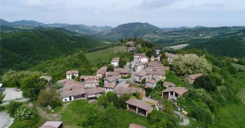 Gravanago